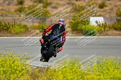 media/May-10-2024-2WTD (Fri) [[c88d7990af]]/Group C/Session 2-The Bowl/